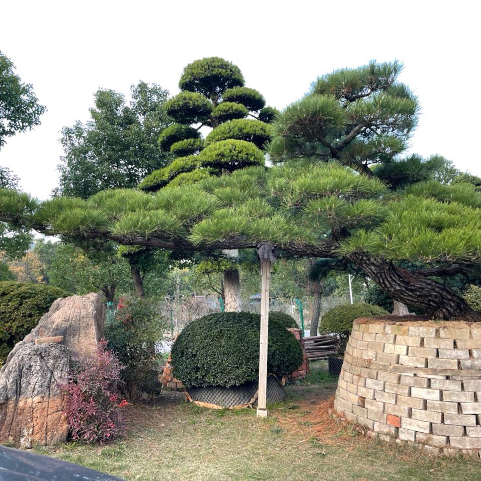 清泉
