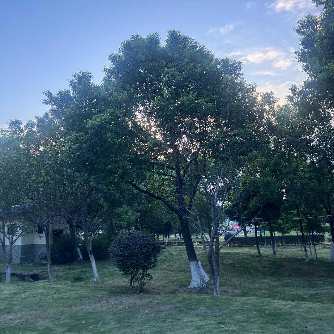 成功上岸