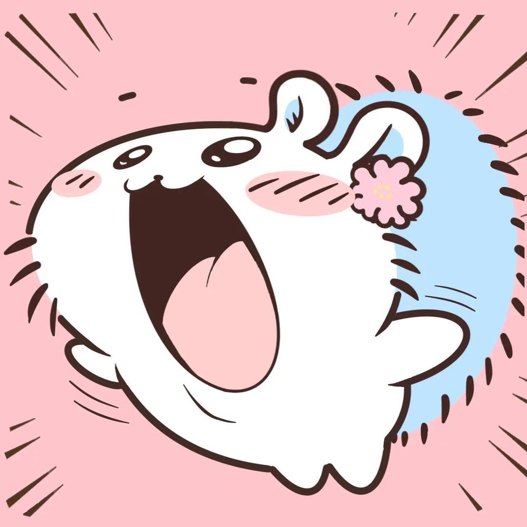 猪猪修宝