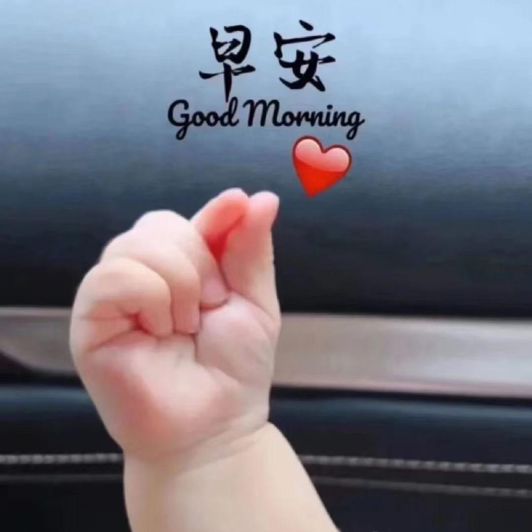 卖土鸡蛋的姐姐（安晴）