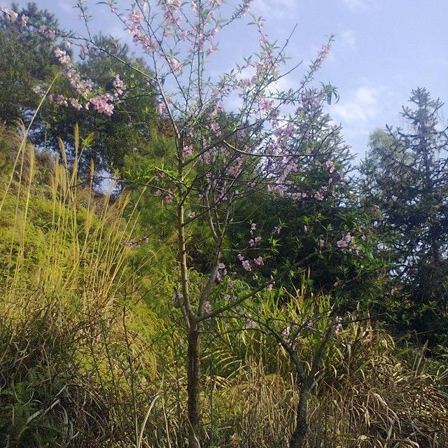 笑得