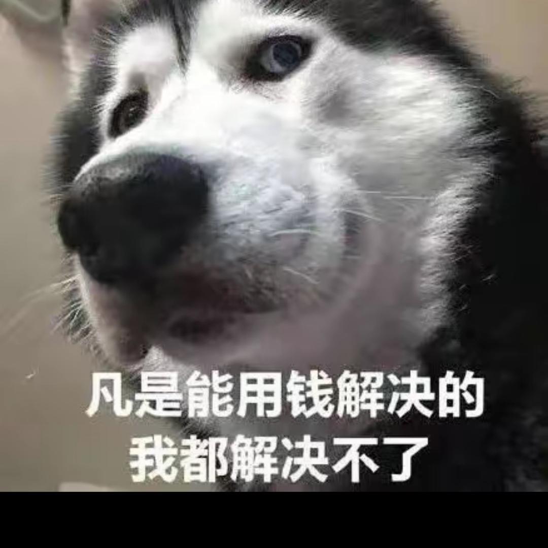 会飞的鸡叫灰机