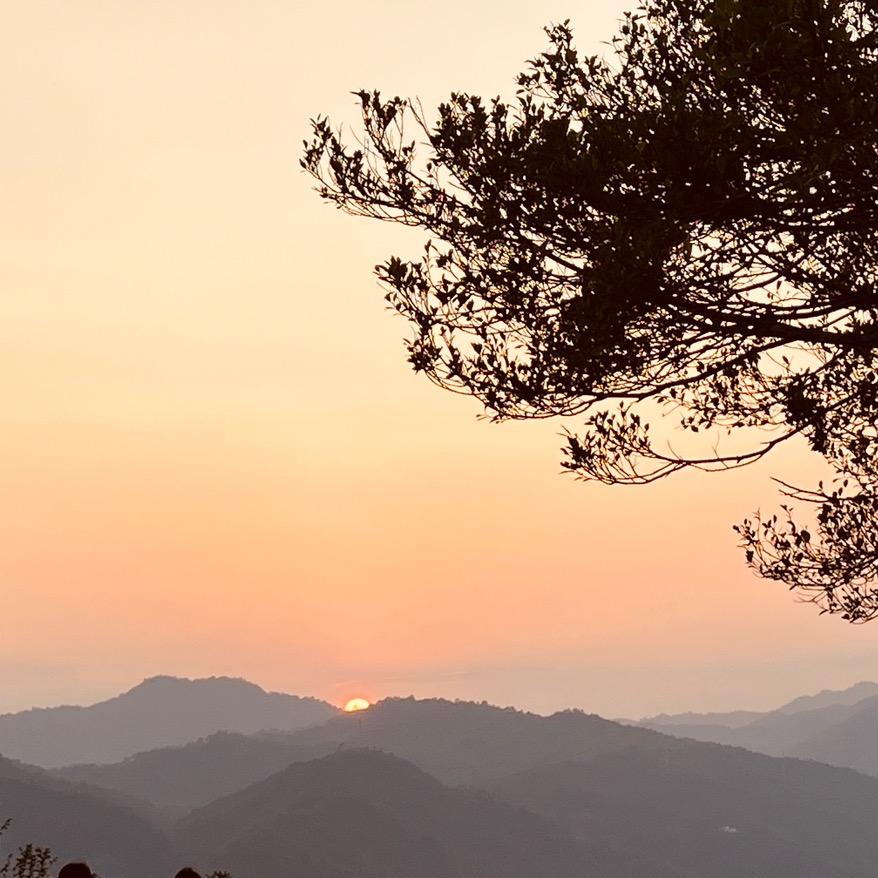 是小米呀