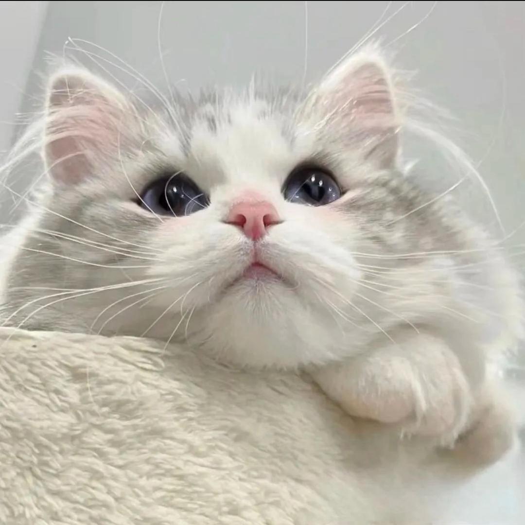 无人在意的小沐白🍃