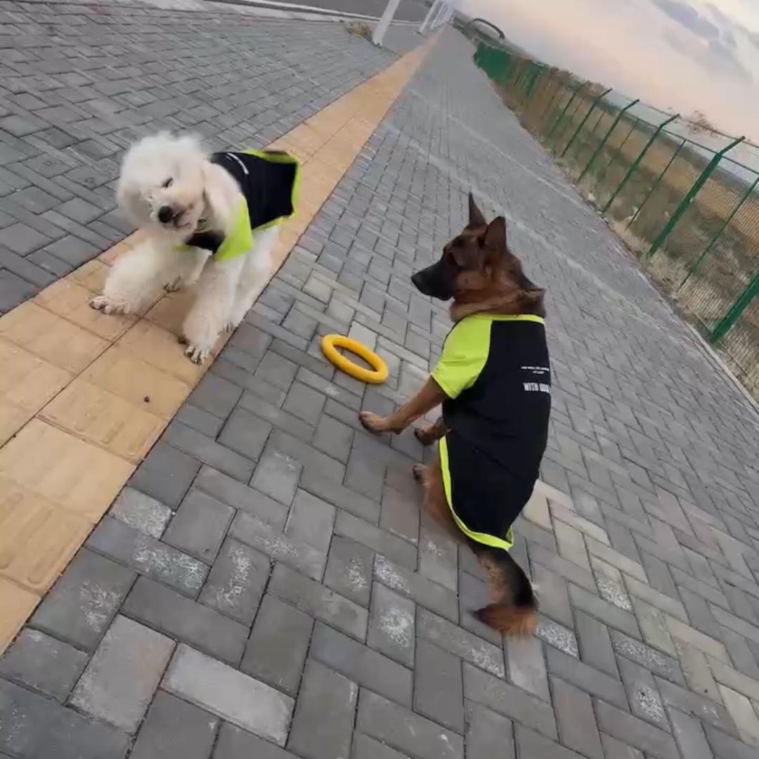 嘿嘿嘿😜