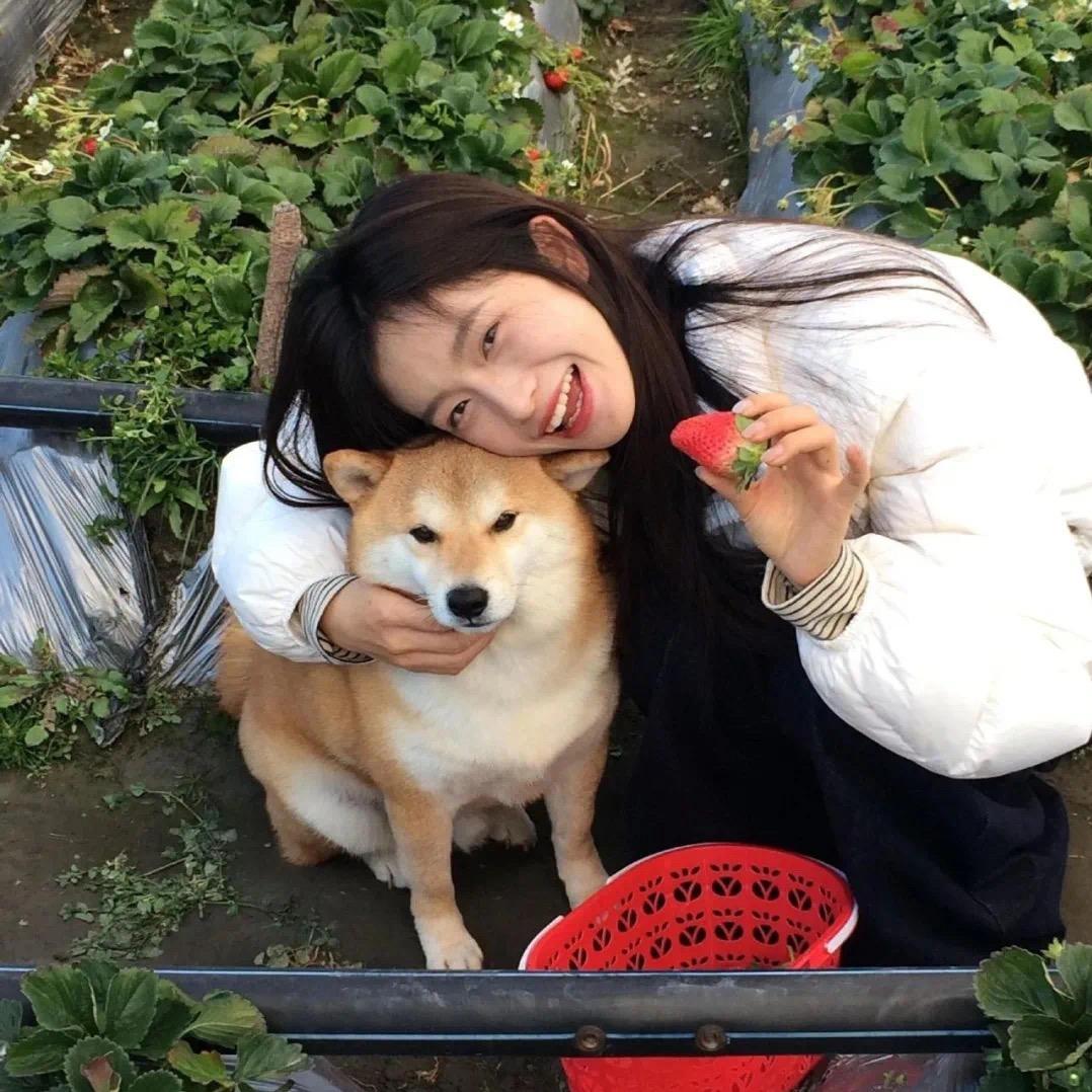 好运连连.