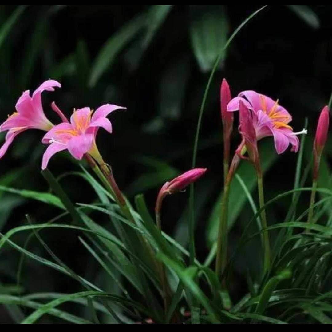 心有静气清风自来