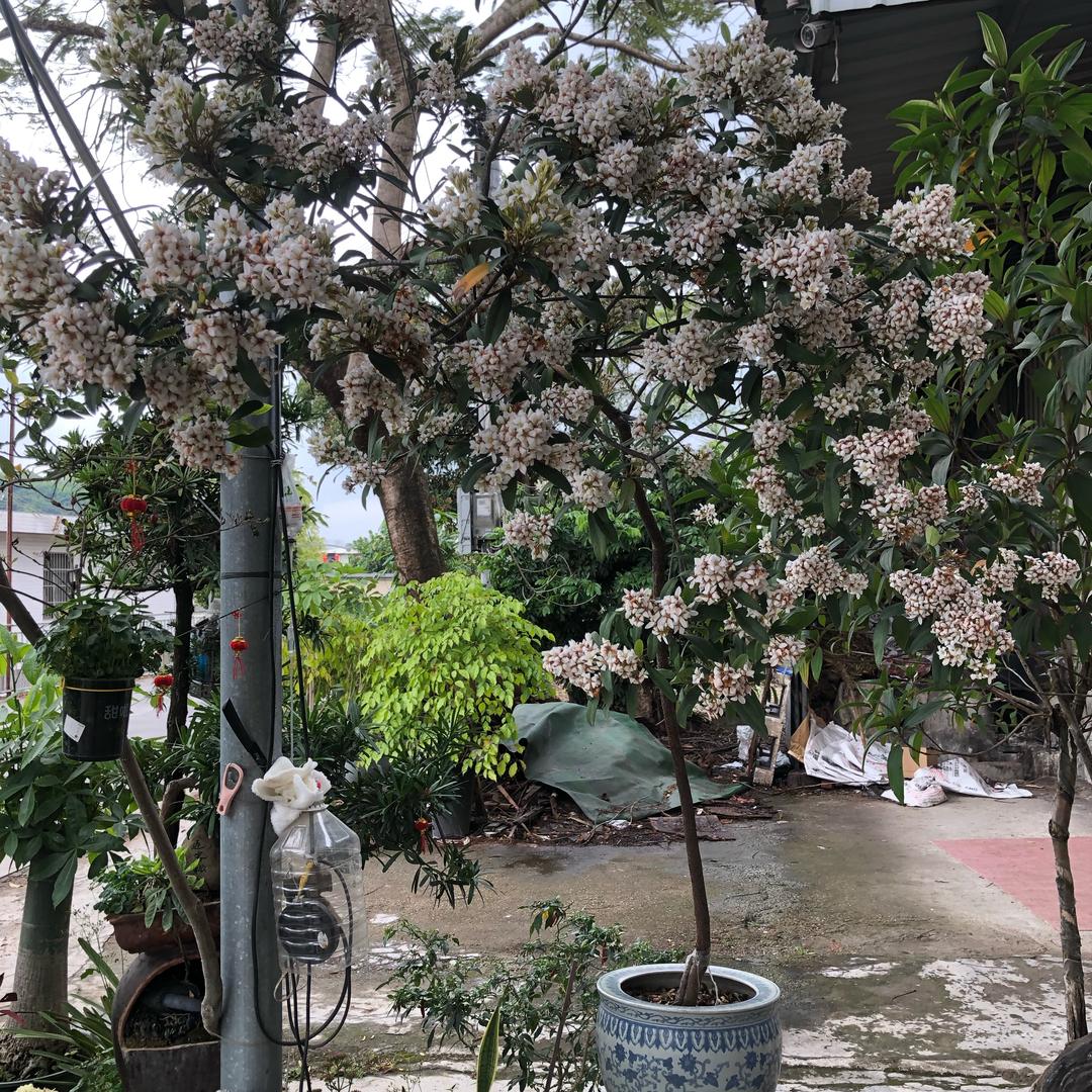 天道酬勤。厚德载物。钟建胜