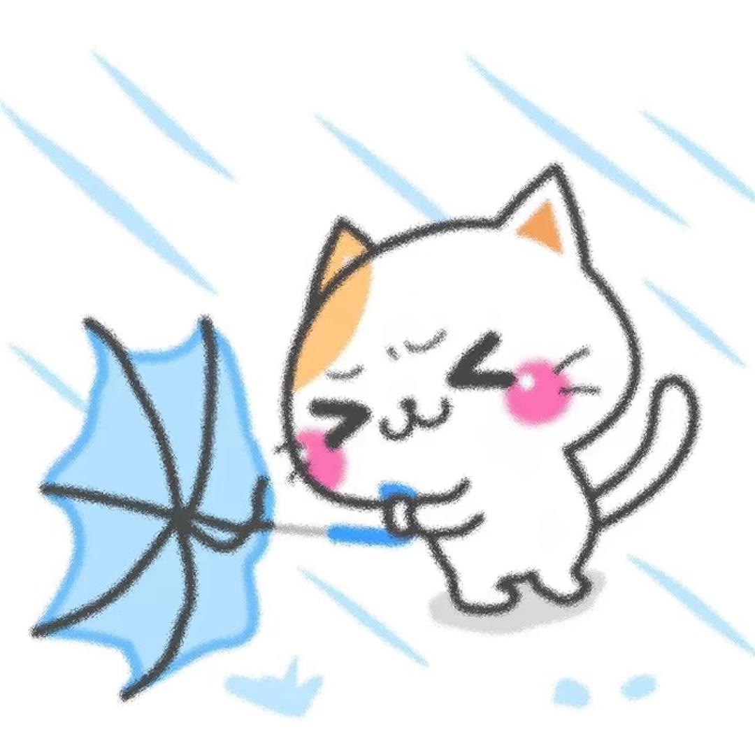 🥥椰椰