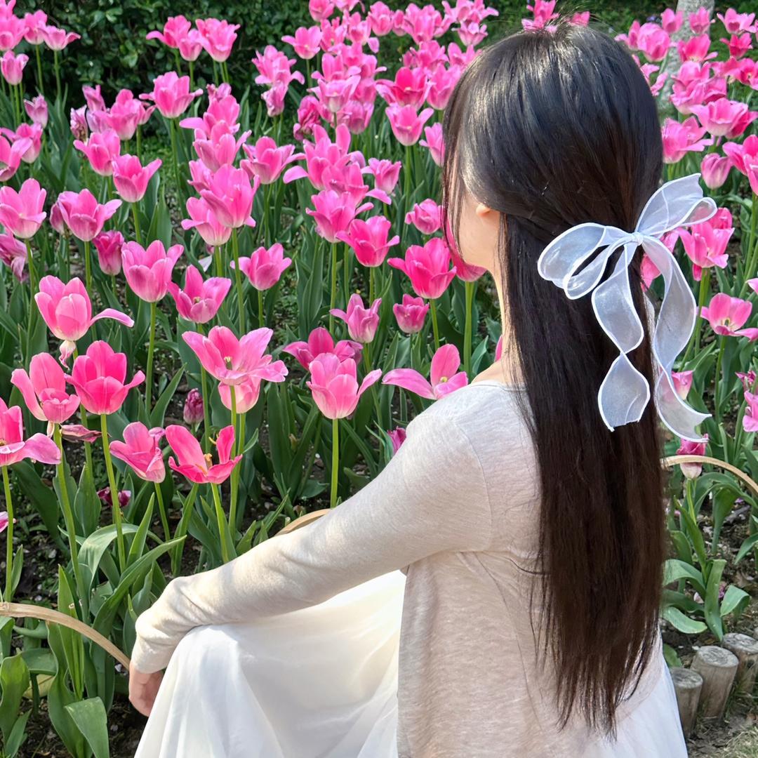 佳佳佳宝（饰品版