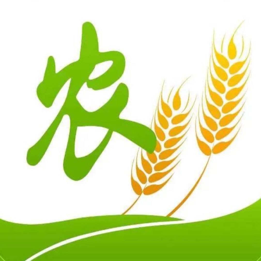 大张聊果树