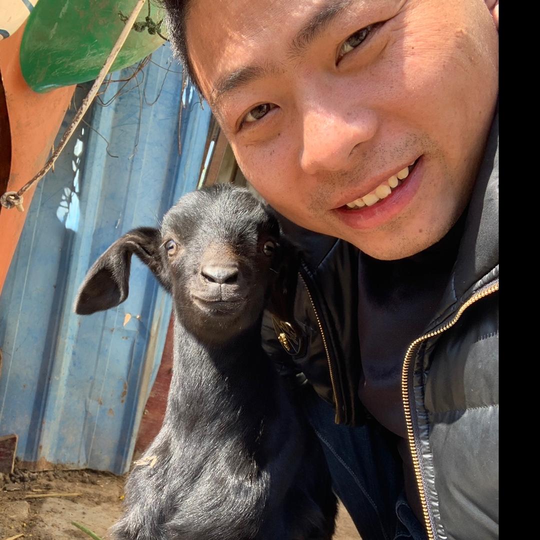 苏北小五哥黑山羊肉