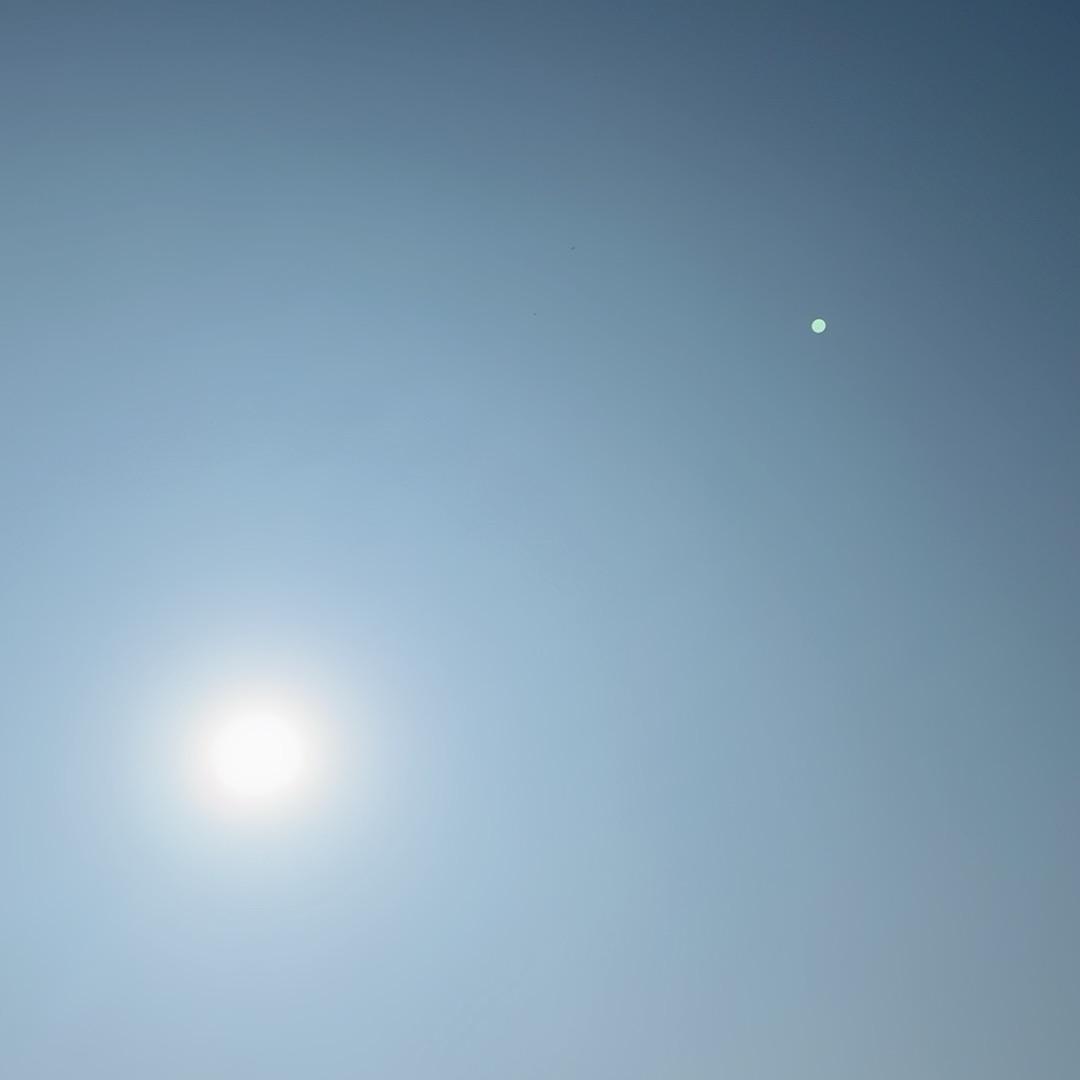 木兰花✨