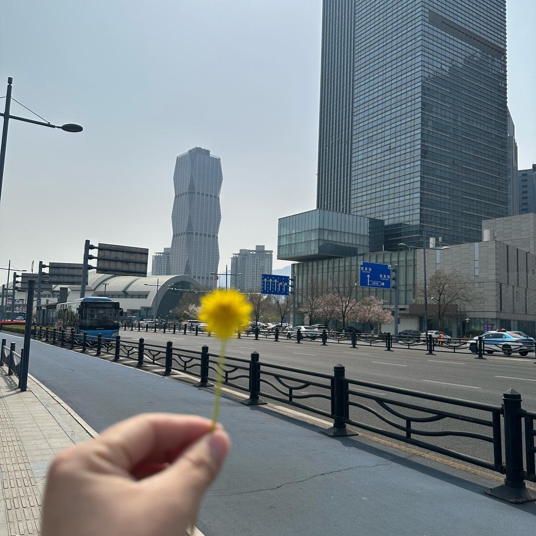 汇明墙布.窗帘