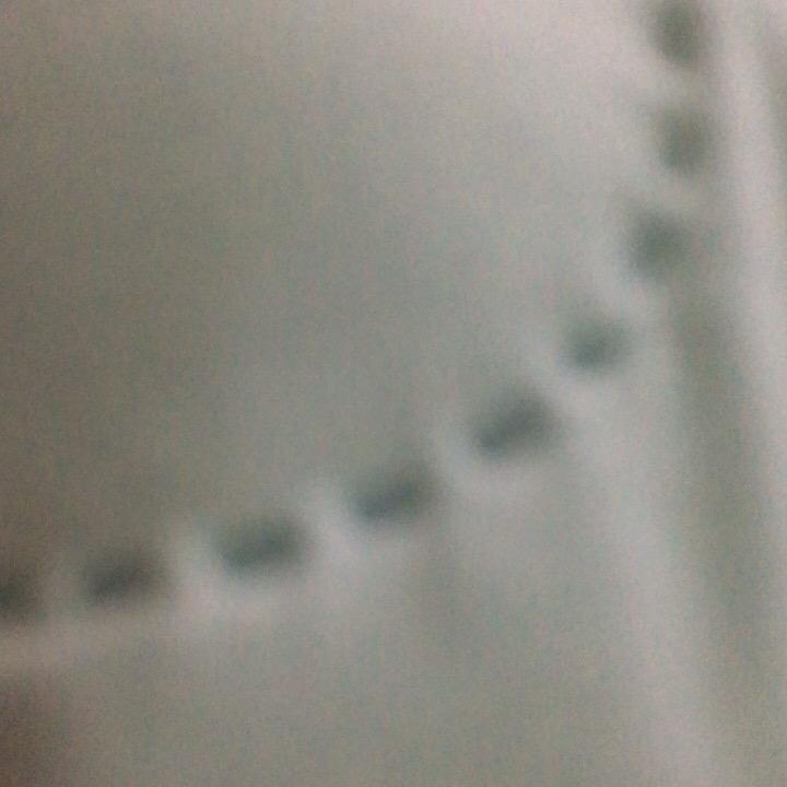 附近1.o千米