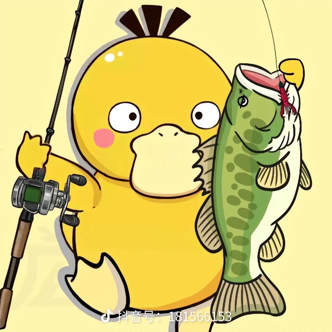 bsusd🐟