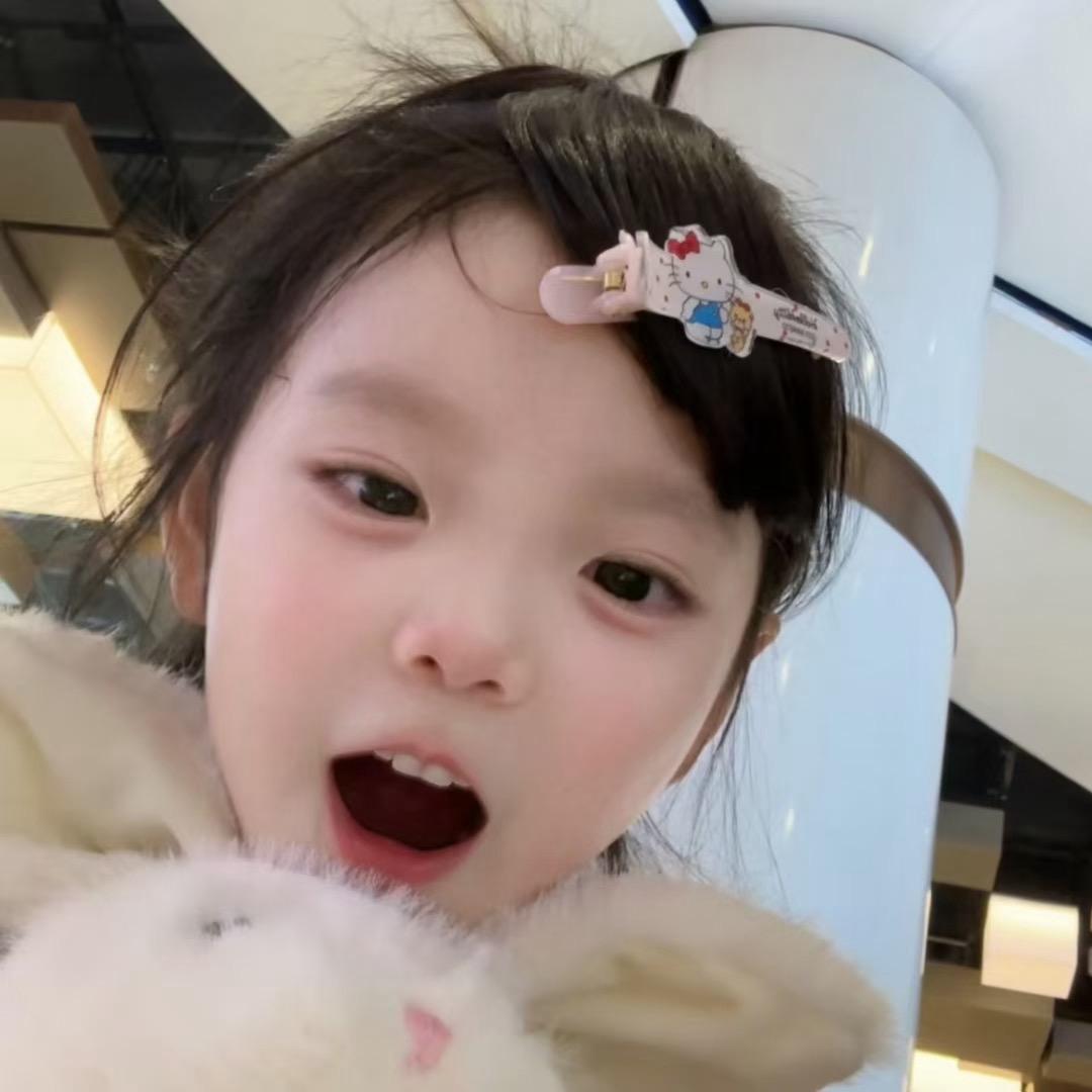 述述子