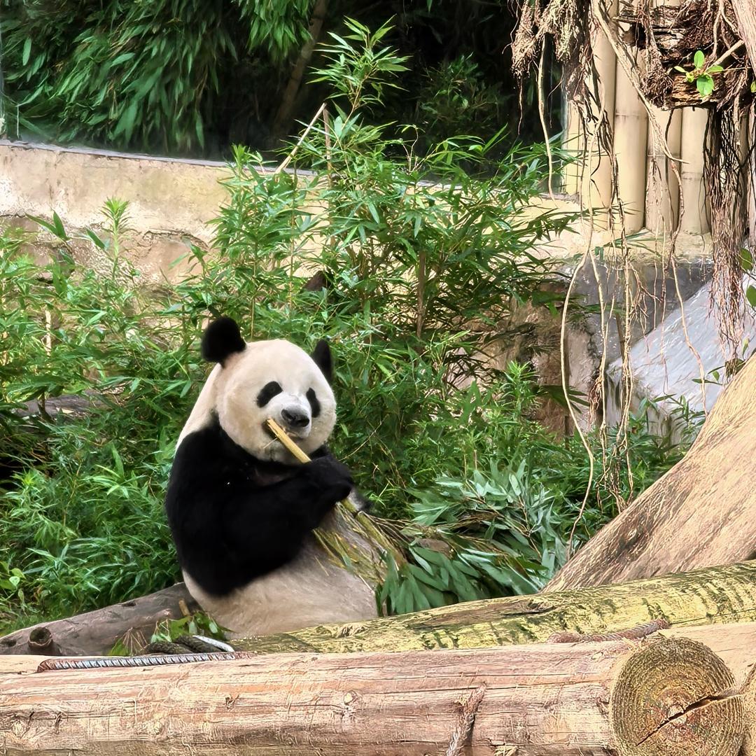 56岁父亲向老赖老板索要工资被打进医院