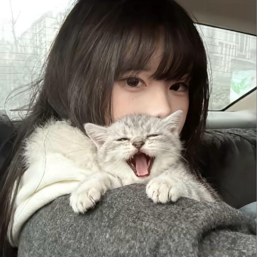 如果鱿鱼丝种天赋🌧️