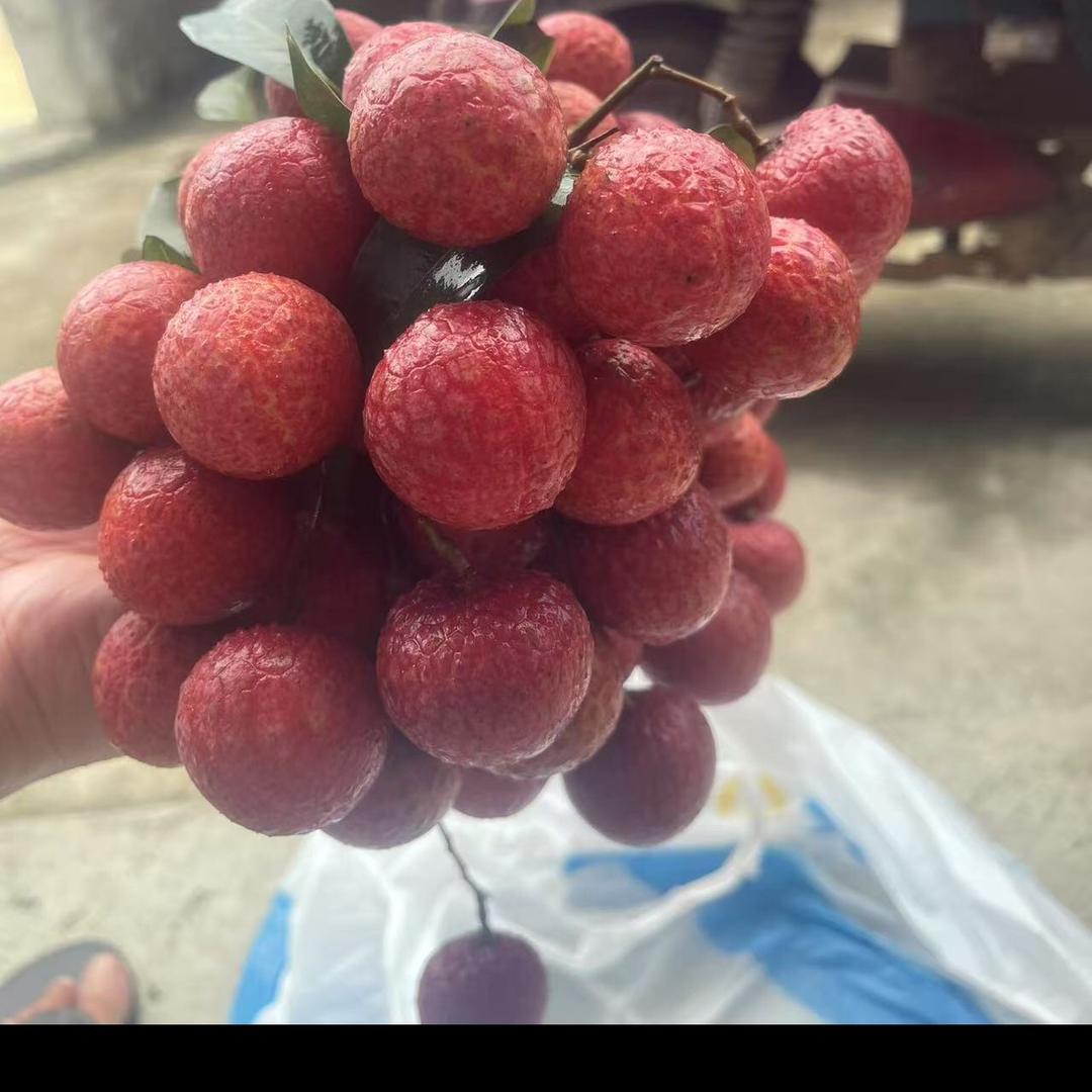 产地、代发、代办、荔枝各种水果