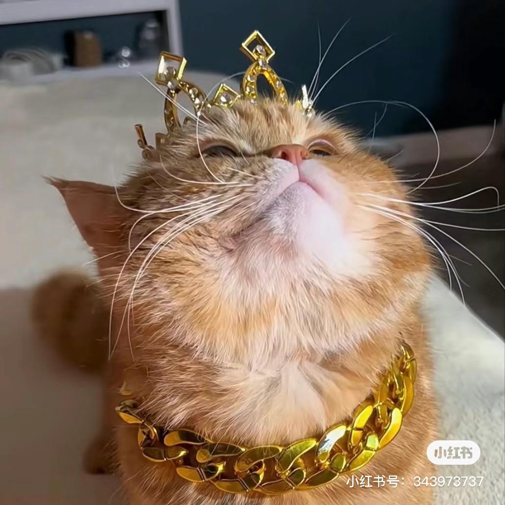 南方有只yang🤍