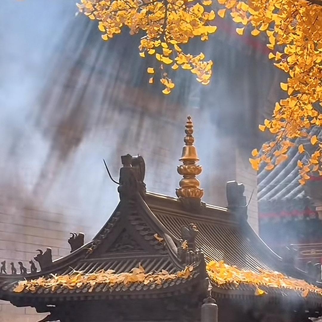 爱度读书