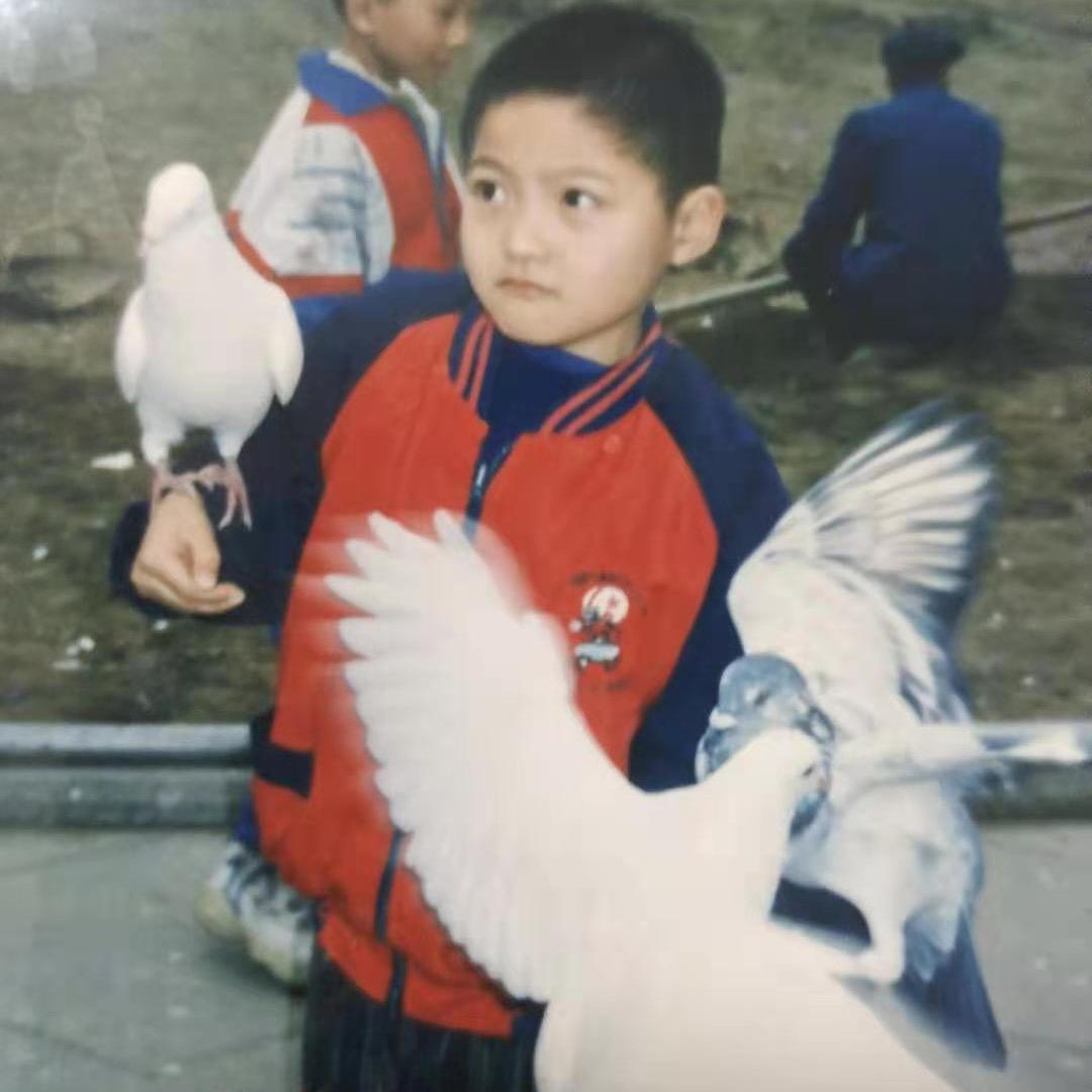 小怪兽快躲开