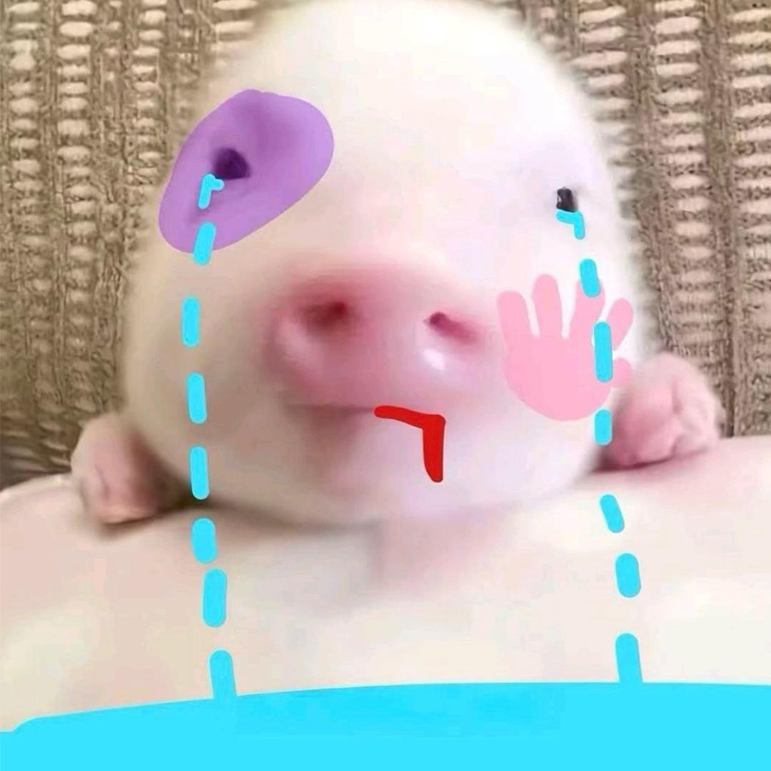 谁把我奶妈抢走了