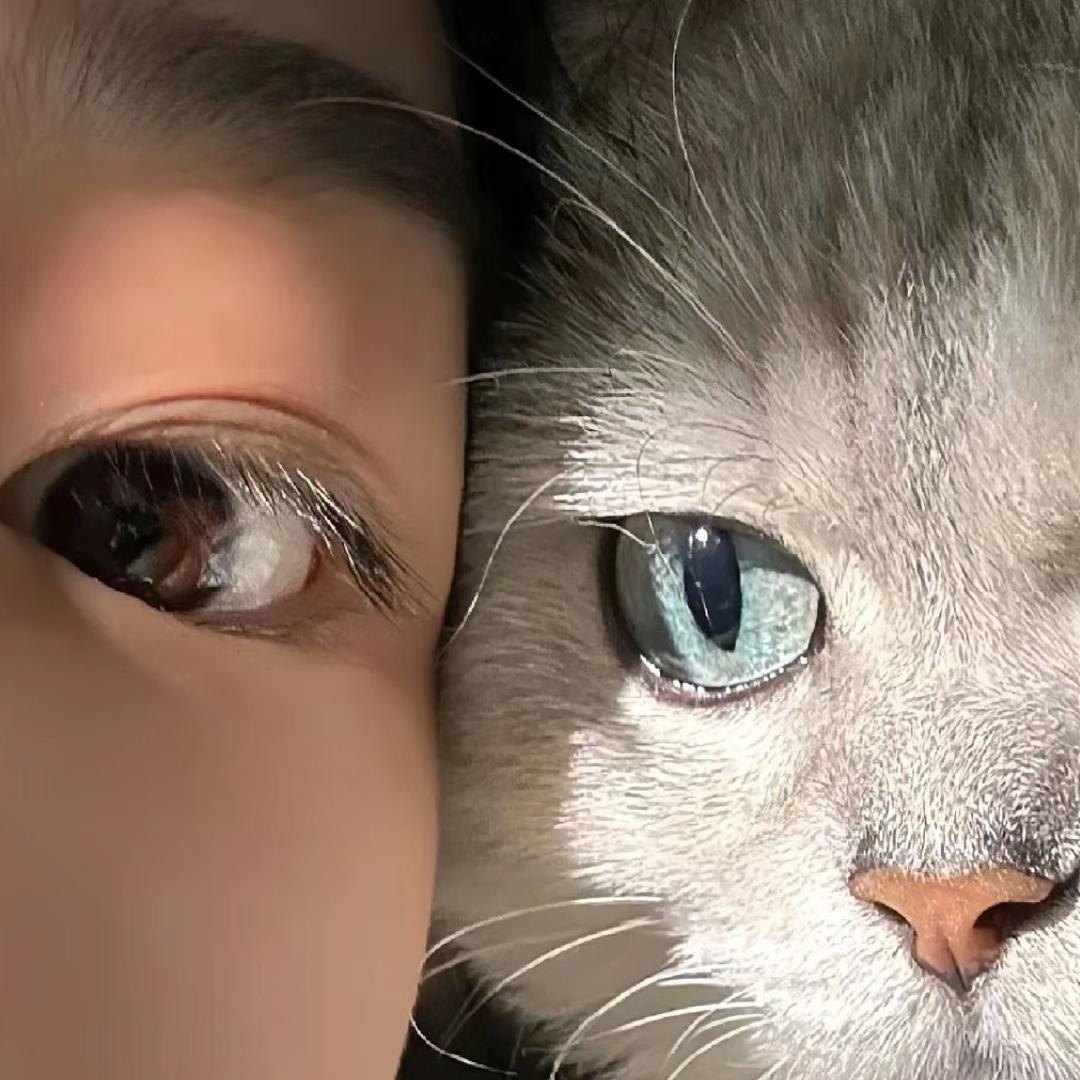 ღ好ღ