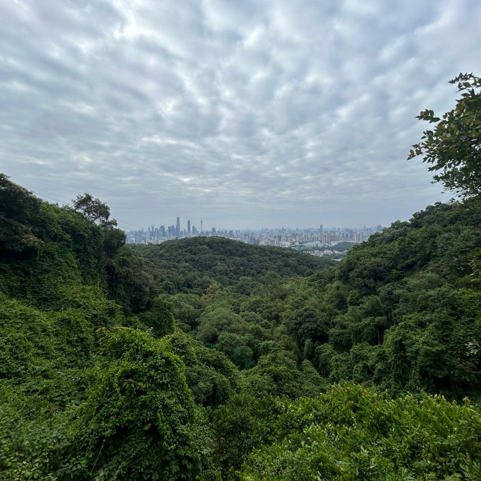 平安一生，回忆有喜有乐！