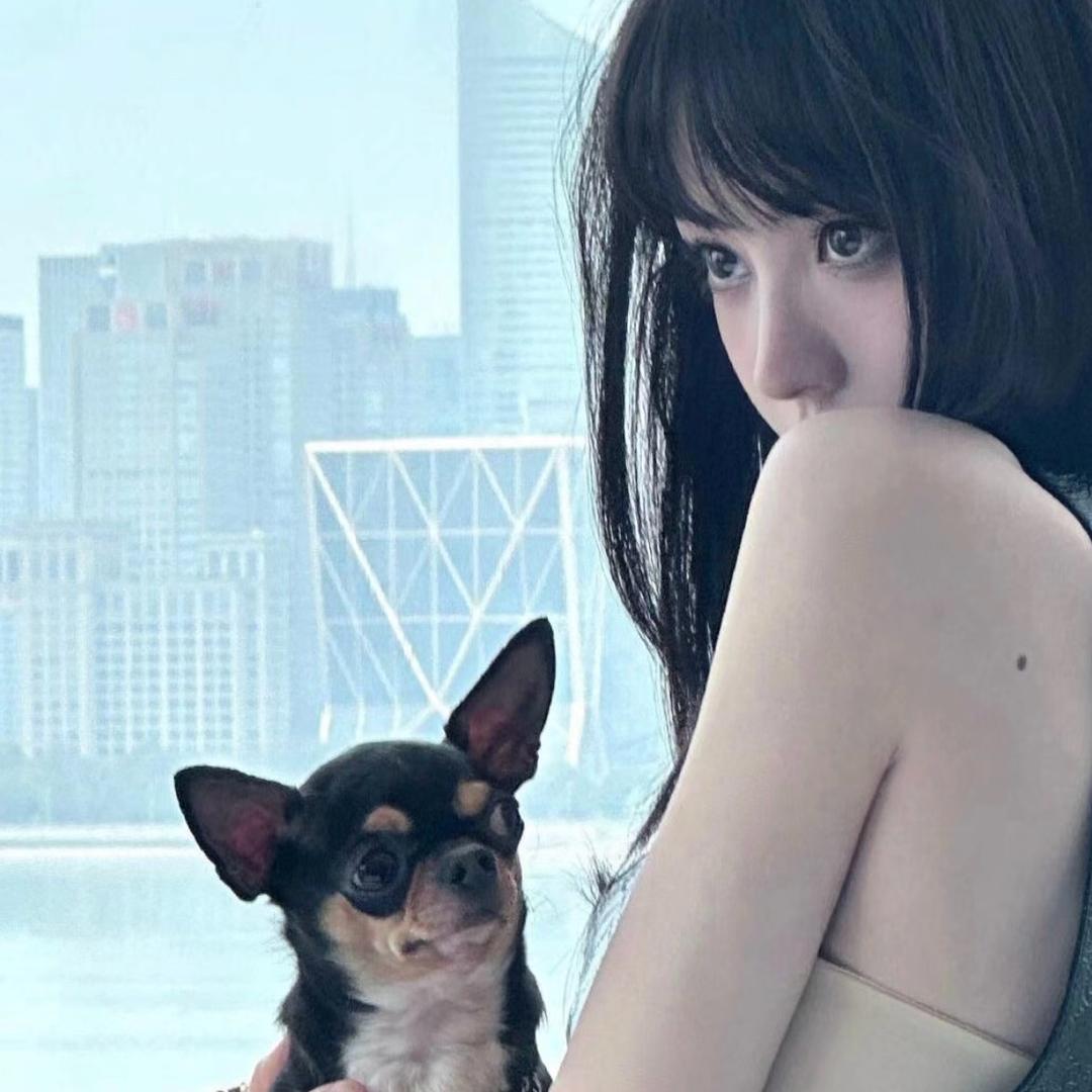 叽里呱啦小泡泡