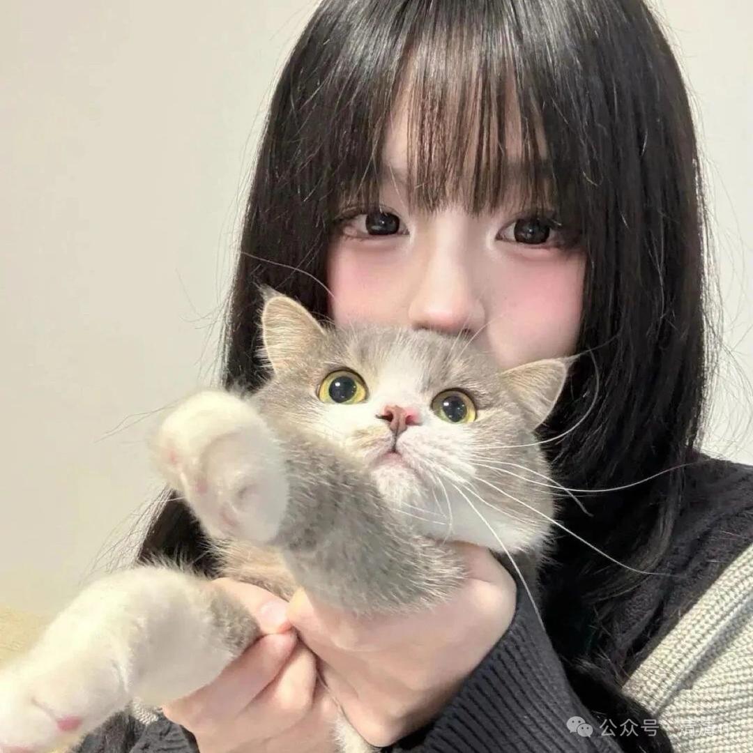 七不七