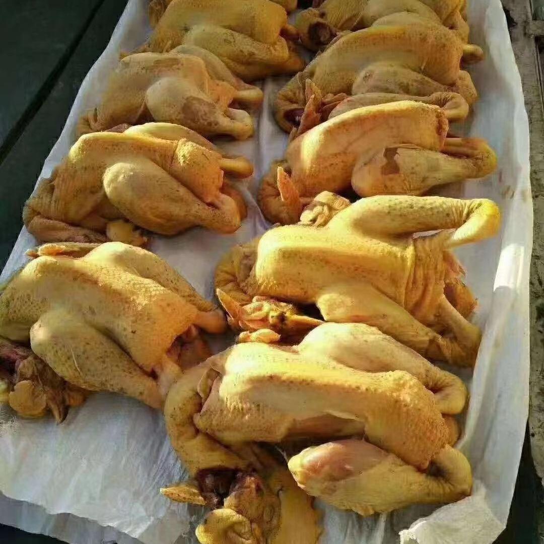 东北杨二生态农场