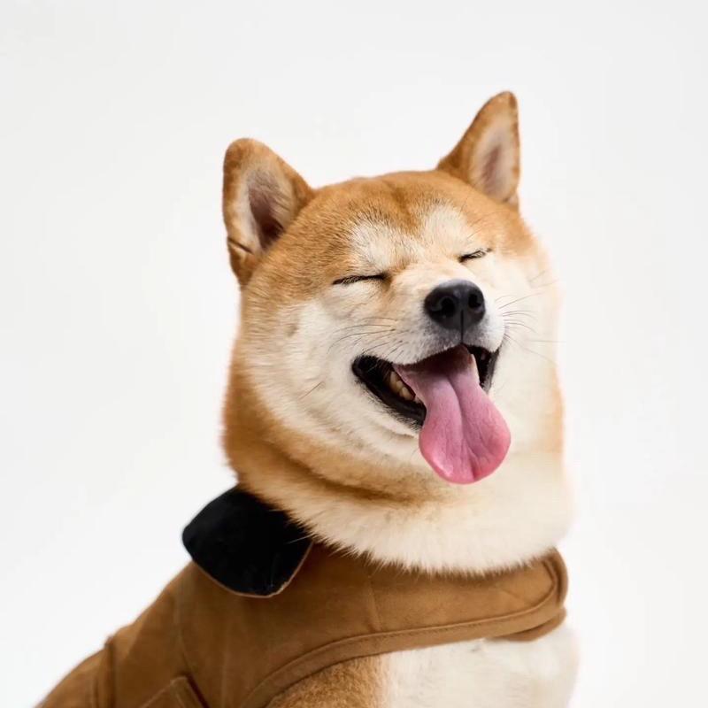 双响炮