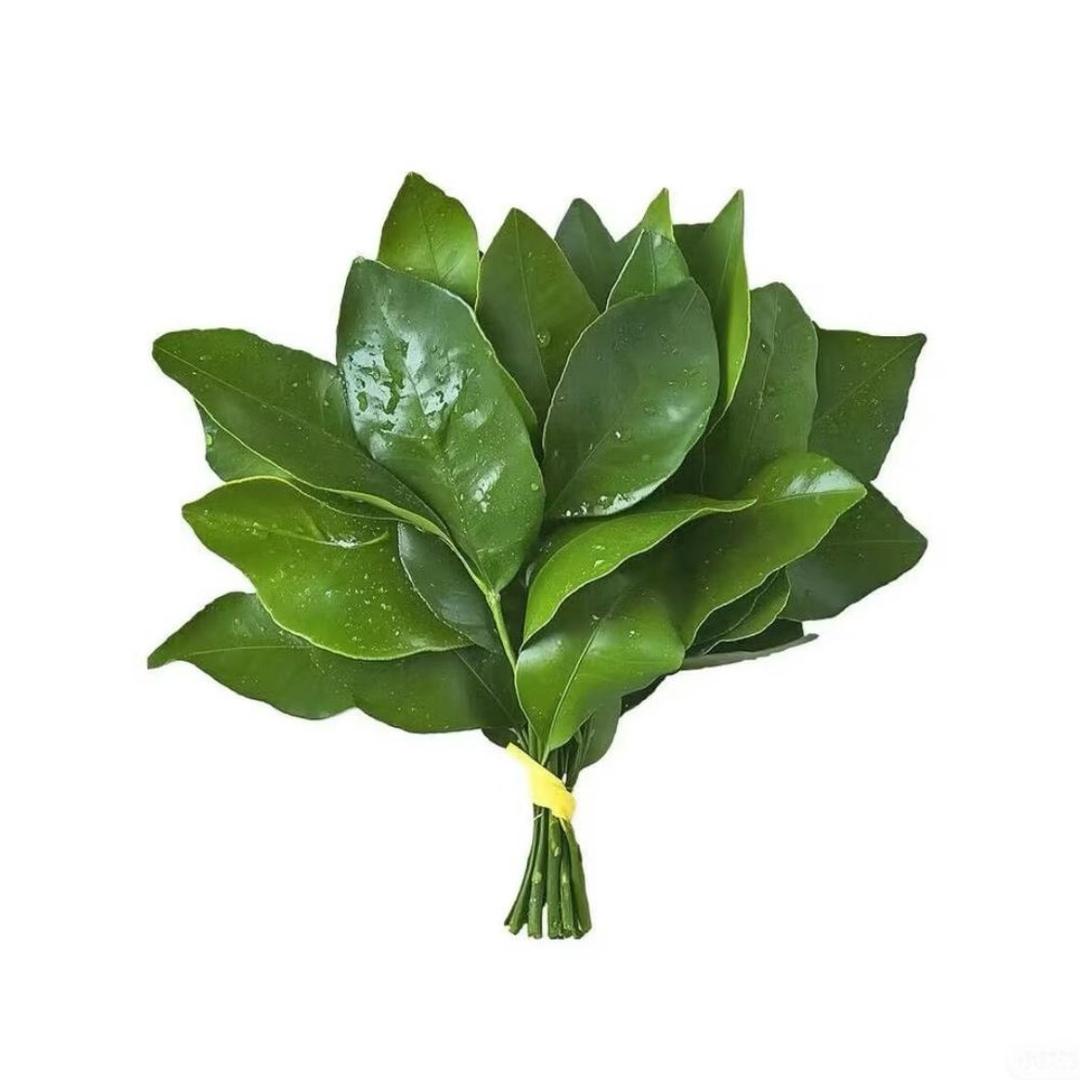 她在月亮上