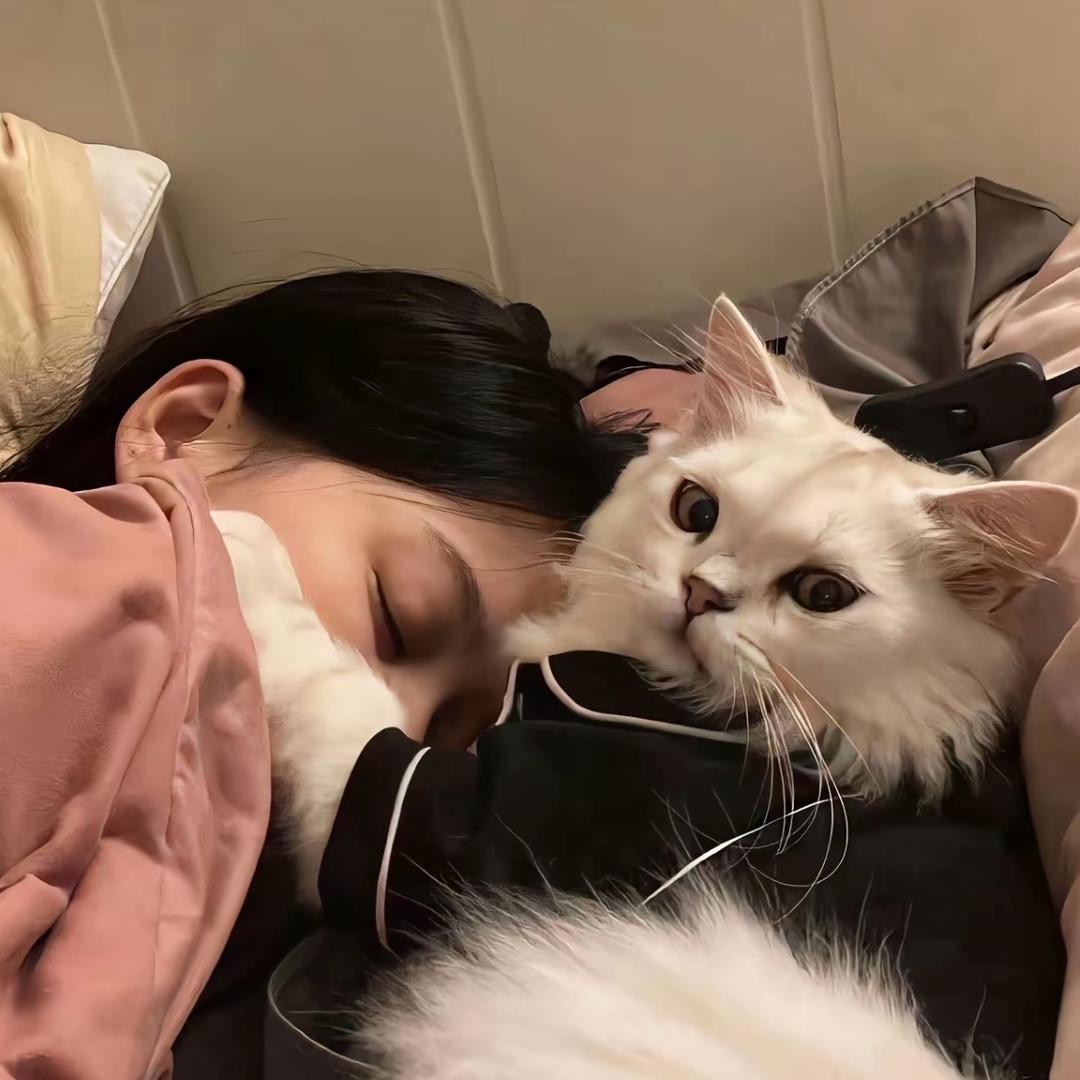 檐角挂着月亮🌙