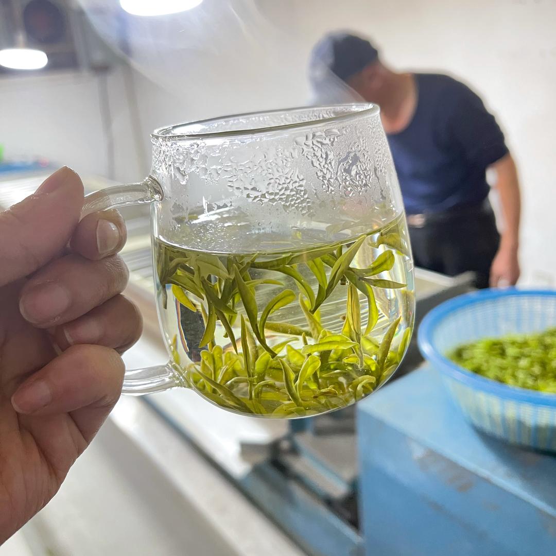 枫璟茶叶