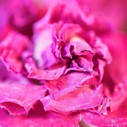 小花带你逛泉城-欧乐堡