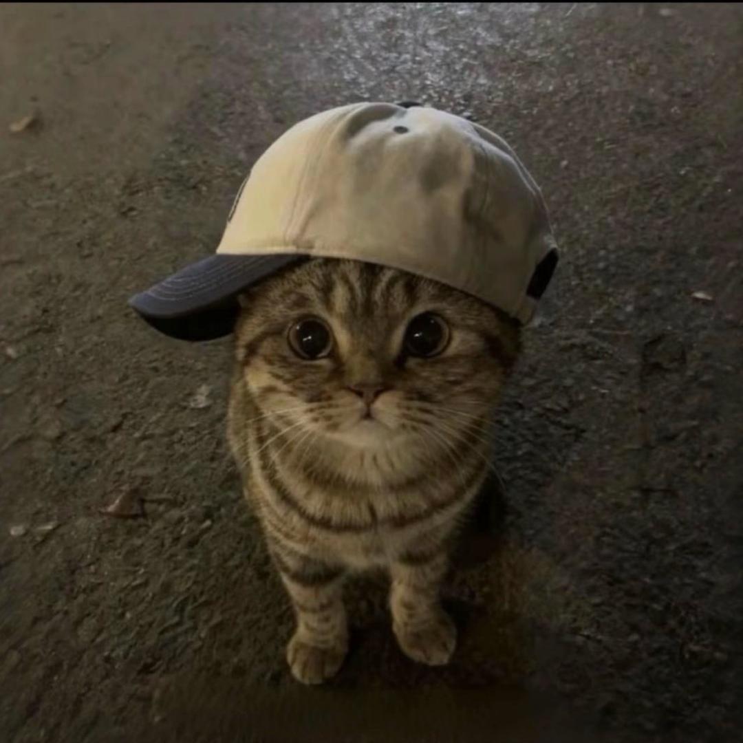 吃香菜吐给你看