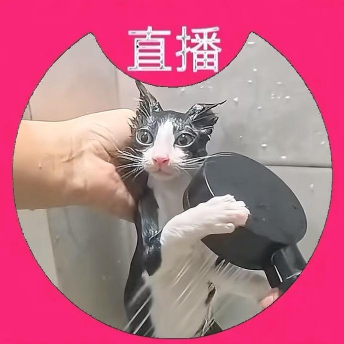 洗澡de牛二四🛀　　　　　　　　广告✕