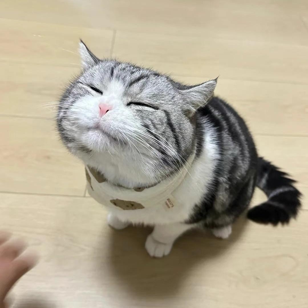 二哥