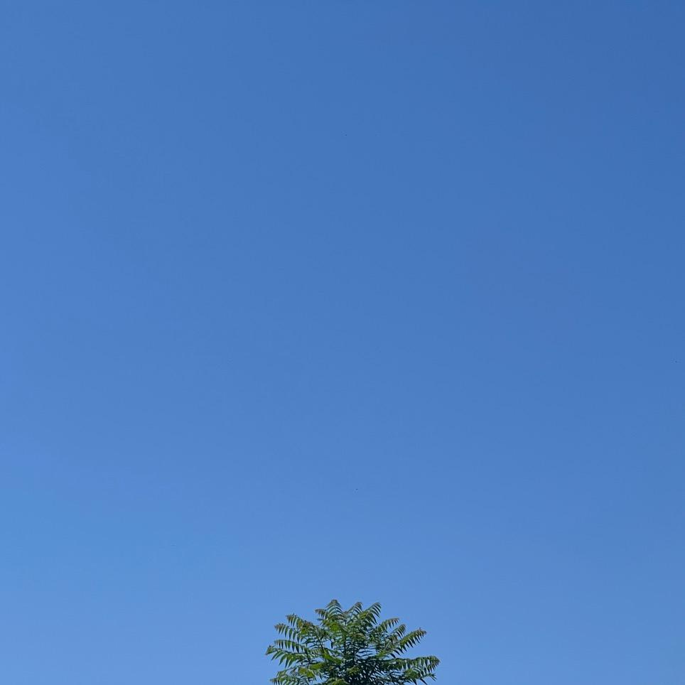 A天勇🎈