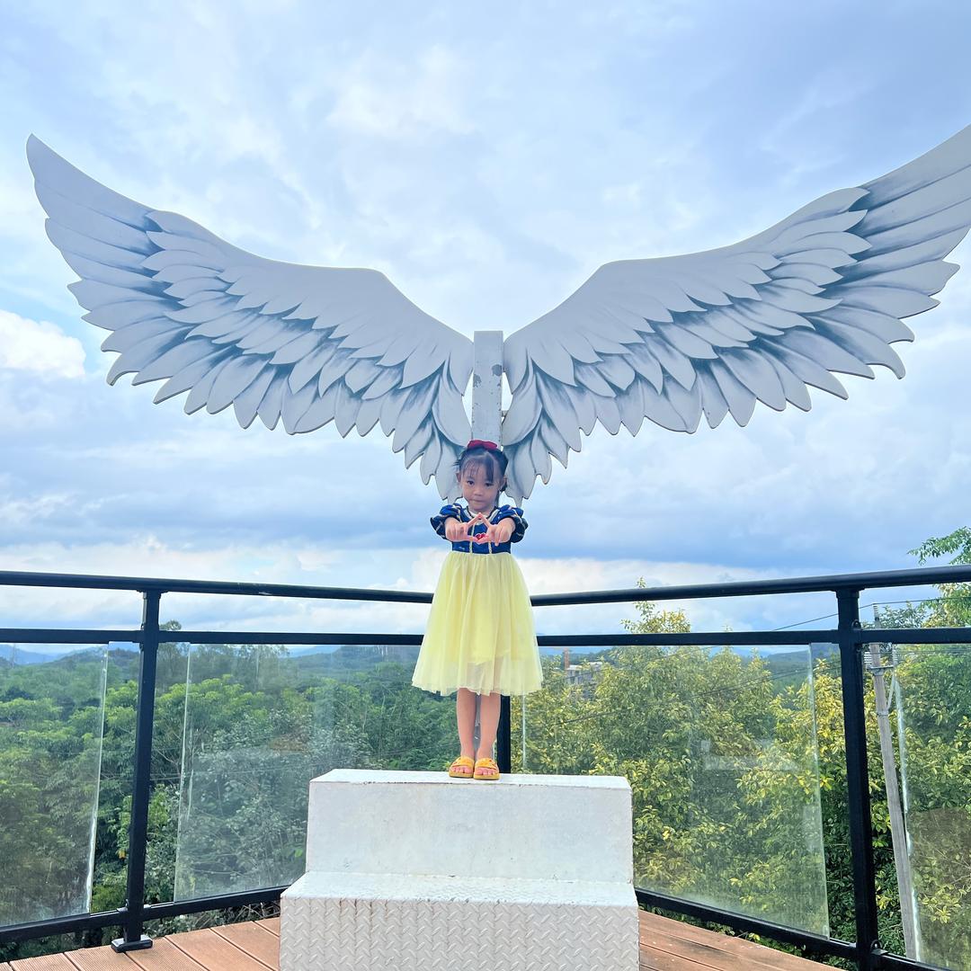 陈法口诀会不会