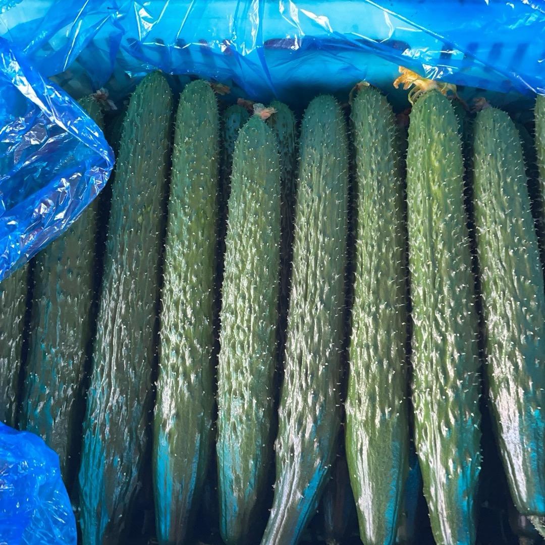 山东蔬菜代收代发