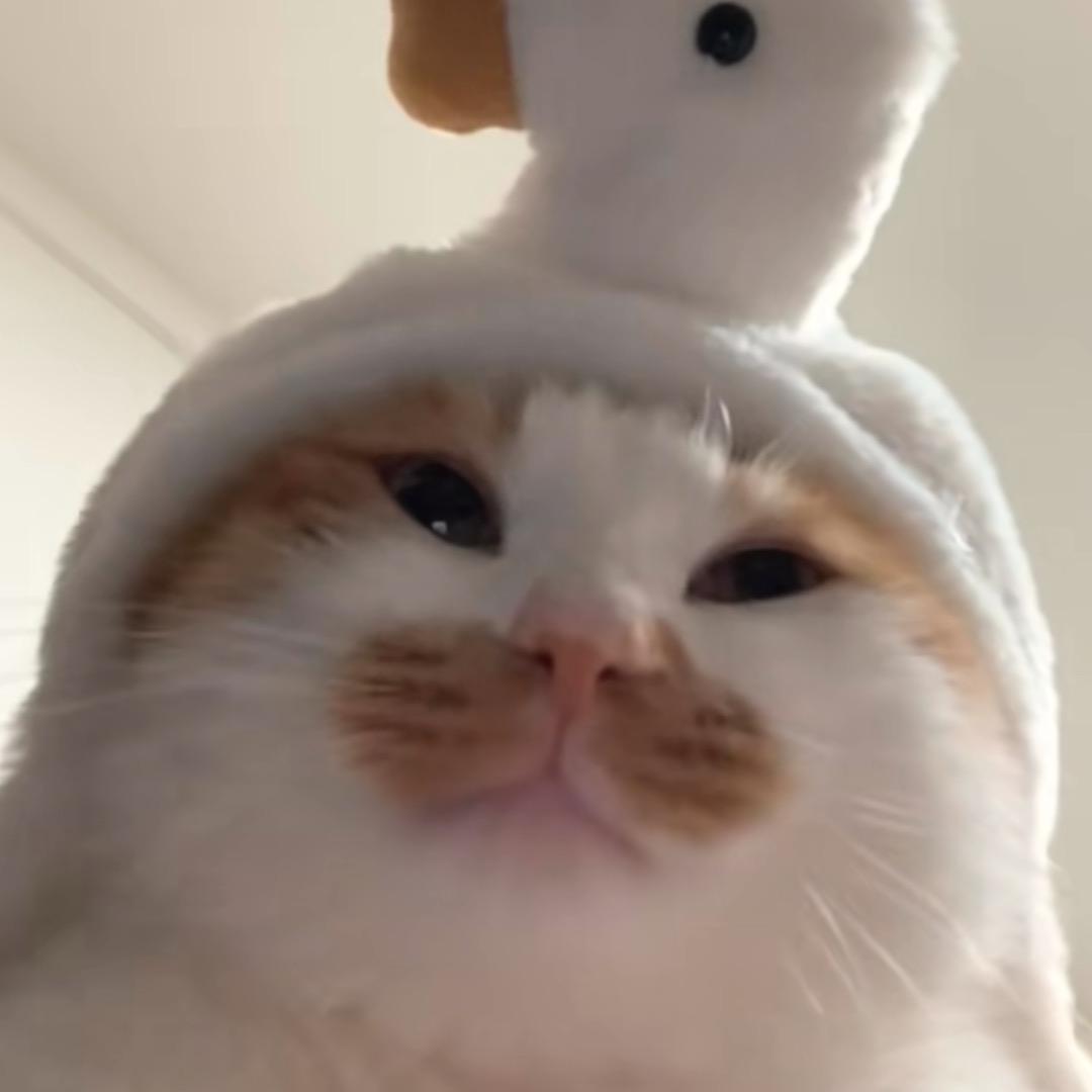 暮鴚鴚歌