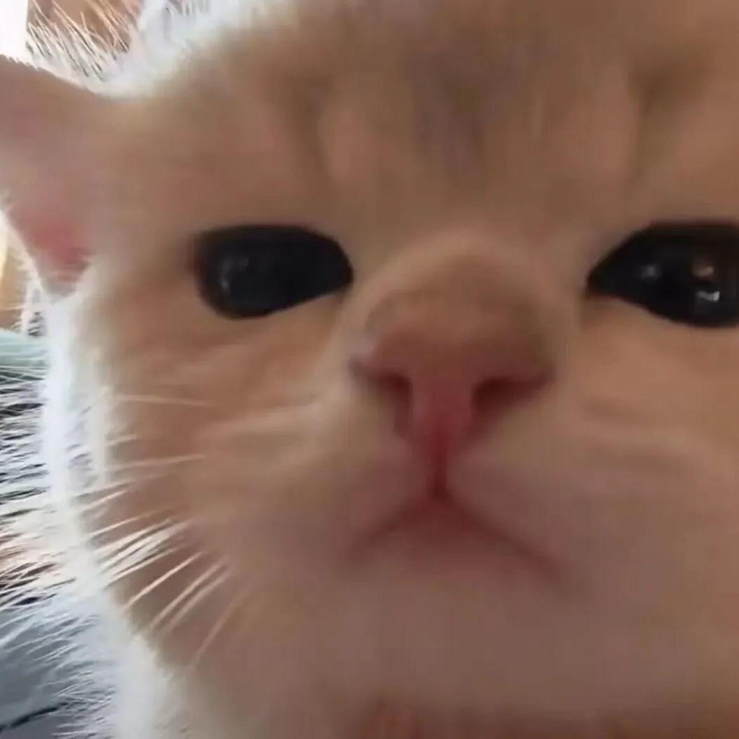 清樾