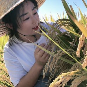 农资-小兮