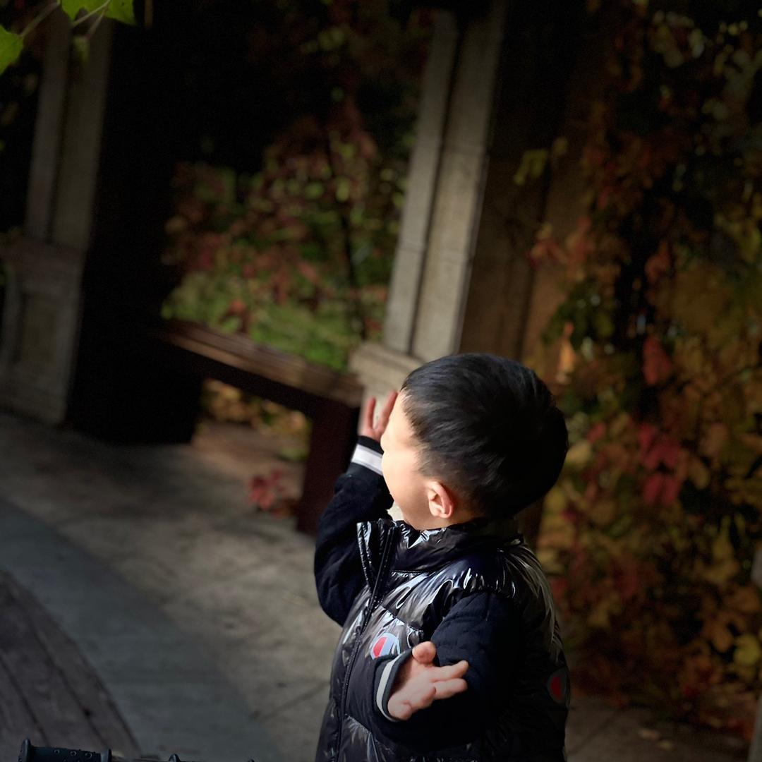 左小兜的美好时光