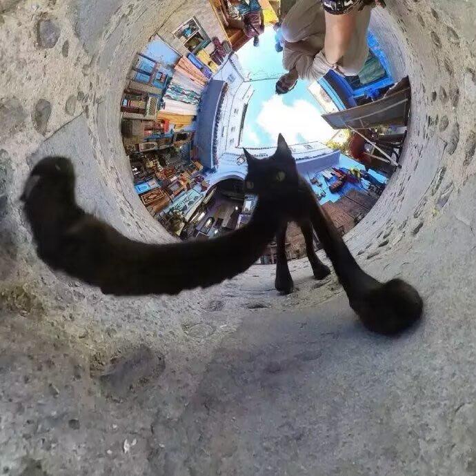 Mergu
