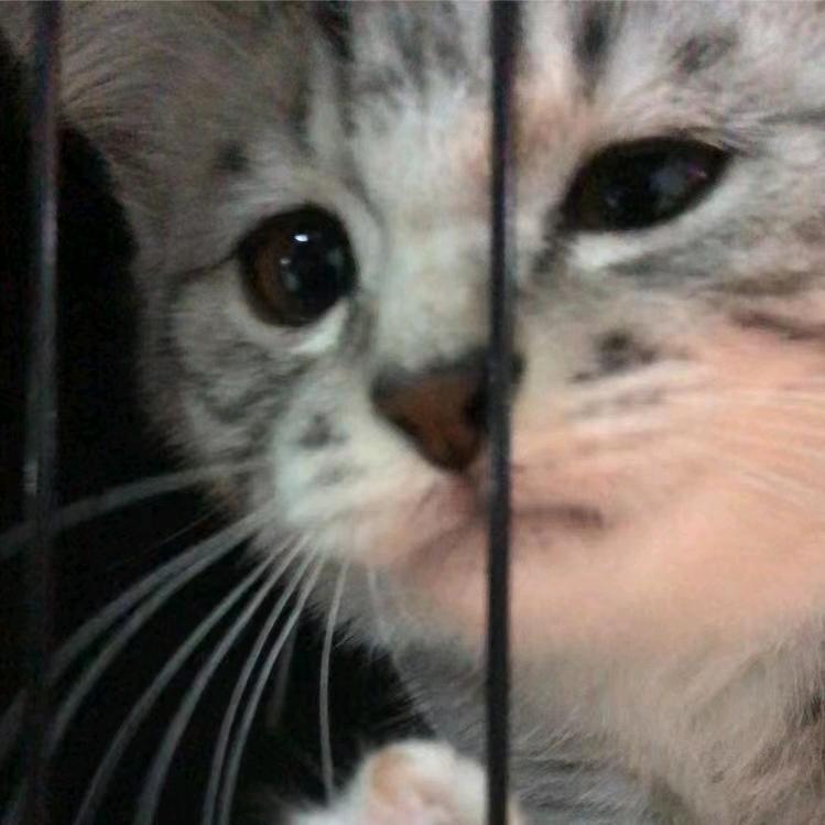 我逮追